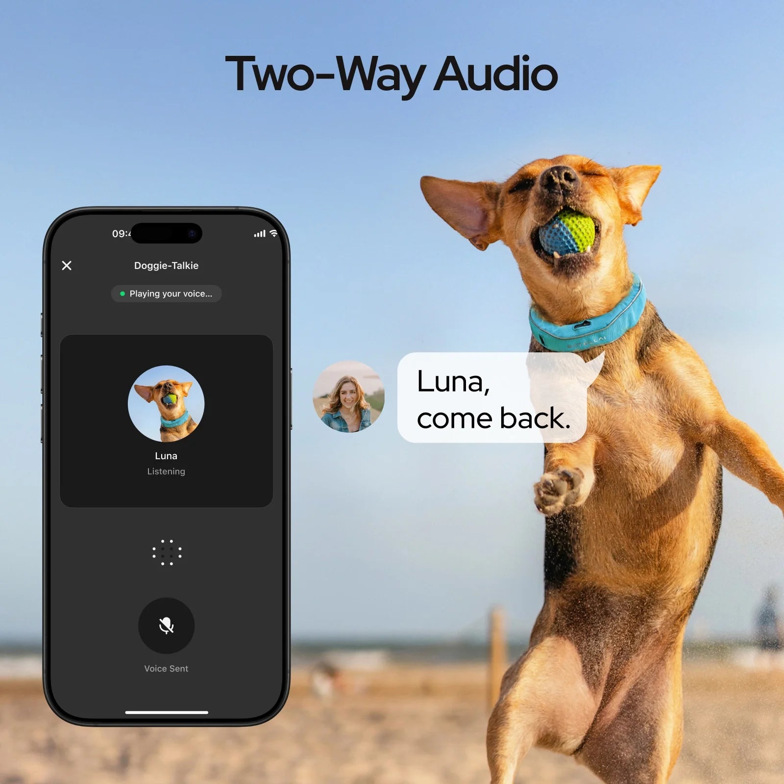 Wireless Dog Fence & GPS Dog Collar with AI Health Insights, Two-Way Audio, Precise Tracking, 3-Day Battery Life, IP68 Waterproof, Gray