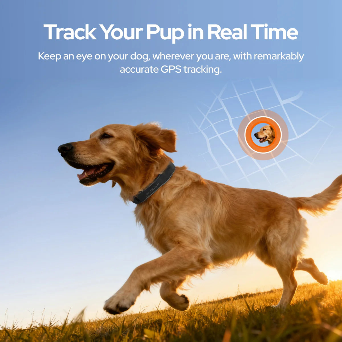 Wireless Dog Fence & GPS Dog Collar with AI Health Insights, Two-Way Audio, Precise Tracking, 3-Day Battery Life, IP68 Waterproof, Gray