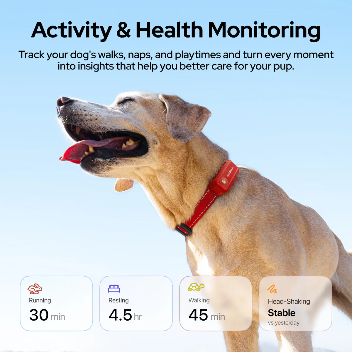 Smart GPS Dog Tracker Collar with Live Tracking & Virtual Boundary Alerts, Health Monitoring, Carbon Black, M (13"-18")