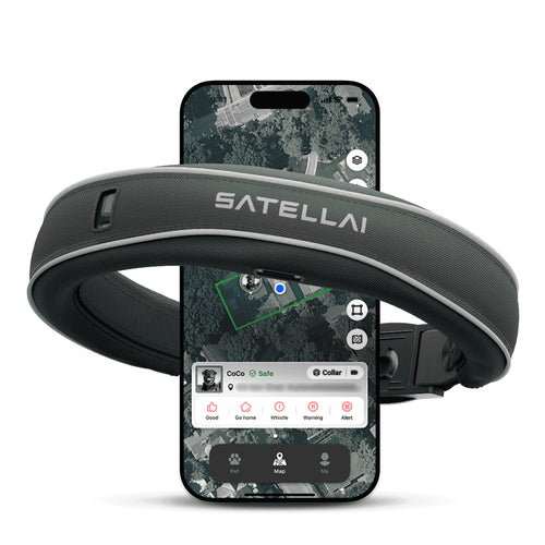 Wireless Dog Fence & GPS Dog Collar with AI Health Insights, Two-Way Audio, Precise Tracking, 3-Day Battery Life, IP68 Waterproof, Gray